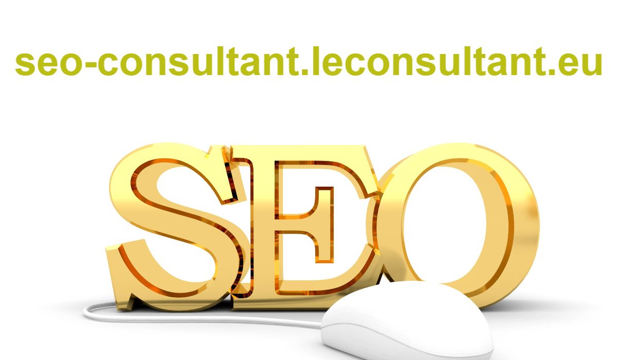 seo-consultant.leconsultant.eu